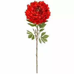 Budget ⭐ 12 Pack: Red Peony Stem by Ashland® ????