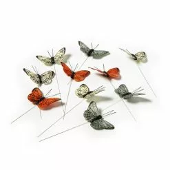 Best reviews of ???? Bright Butterflies by Ashland® ???? -Ashland Sales 10407687 21