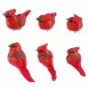 Budget ???? Red Cardinal Set by Ashland® ???? -Ashland Sales 10407691 1