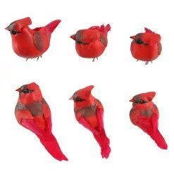Budget ???? Red Cardinal Set by Ashland® ????