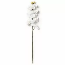Brand new ???? Phaleanopsis Orchid by Ashland® ???? -Ashland Sales 10413038 21