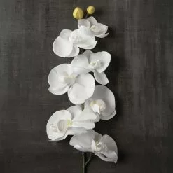 Brand new ???? Phaleanopsis Orchid by Ashland® ???? -Ashland Sales 10413038 25