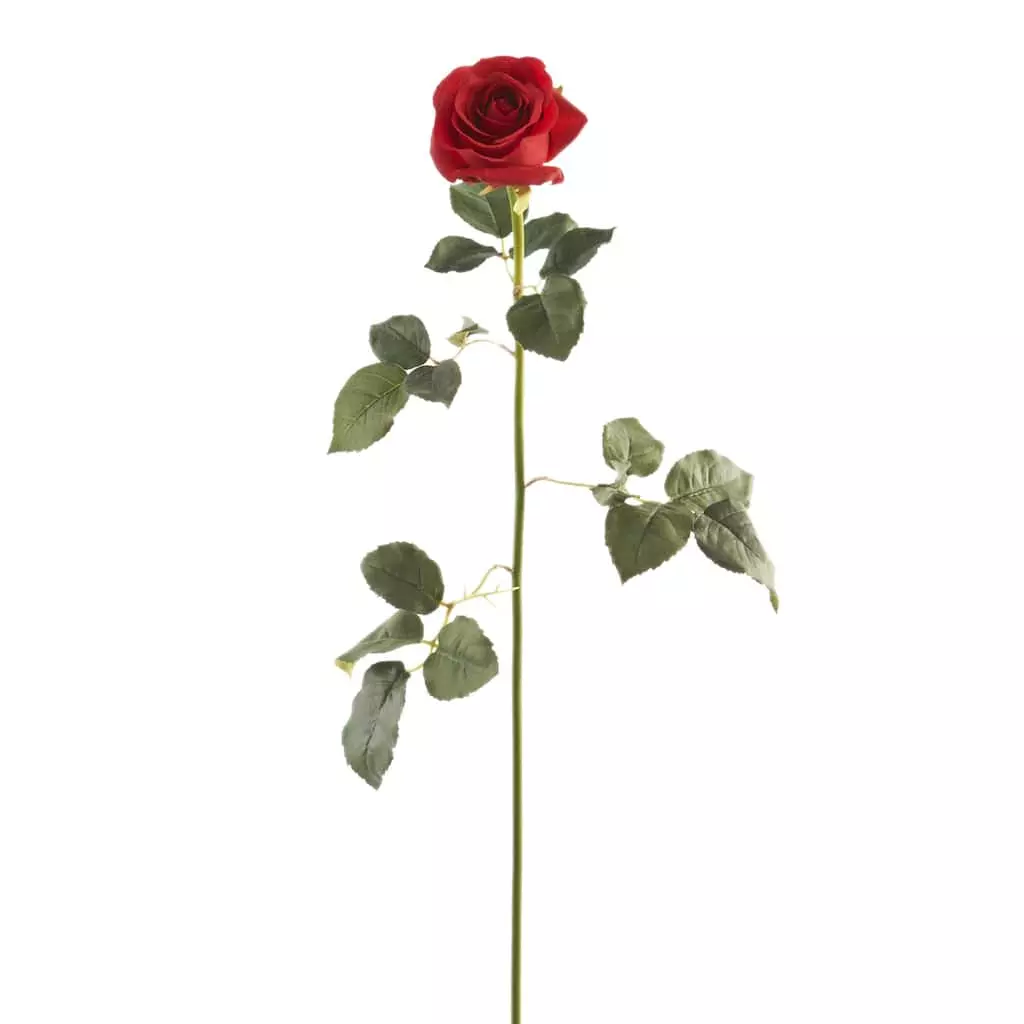 Hot Sale ???? Dutch Rose Spray by Ashland® ???? 3 Hot Sale ???? Dutch Rose Spray by Ashland® ????