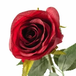 Hot Sale ???? Dutch Rose Spray by Ashland® ???? 8 Hot Sale ???? Dutch Rose Spray by Ashland® ???? -Ashland Sales 10430282 20