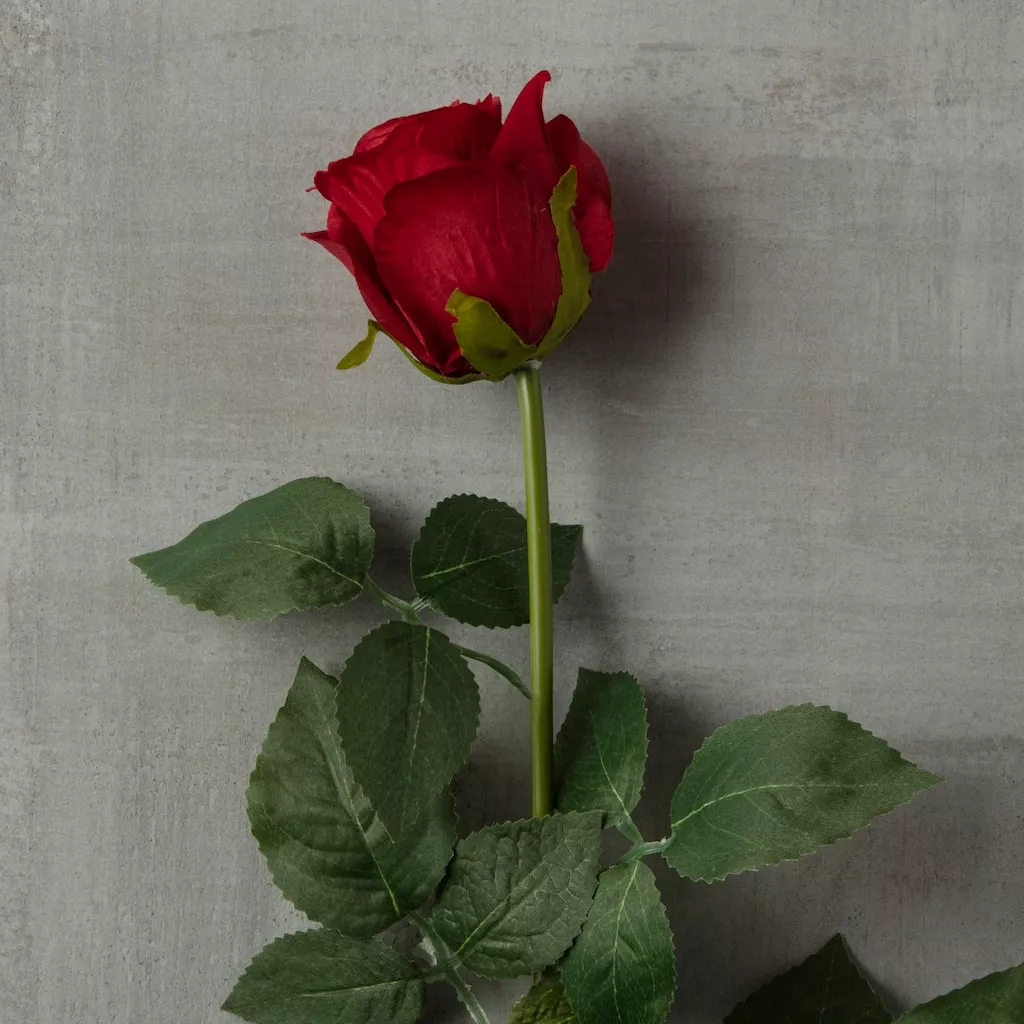 Hot Sale ???? Dutch Rose Spray by Ashland® ???? 6 Hot Sale ???? Dutch Rose Spray by Ashland® ???? - Image 4