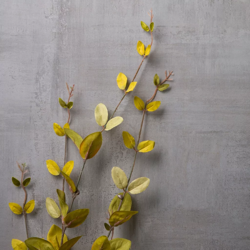 New ???? Lonicera Leaf Spray by Ashland® ⭐ 4 New ???? Lonicera Leaf Spray by Ashland® ⭐ - Image 2