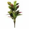 Budget ???? Croton Bush Classic Greenery by Ashland® ???? -Ashland Sales 10430898
