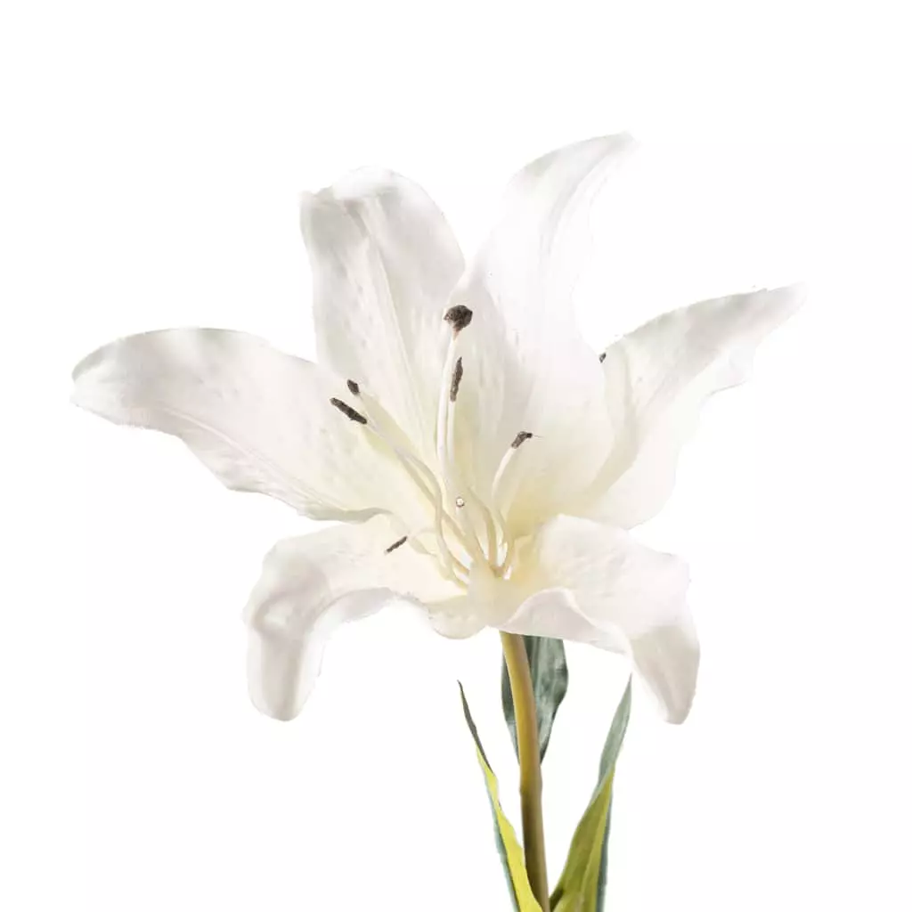 Coupon ???? White Lily Stem by Ashland Classic Traditions™ ???? 5 Coupon ???? White Lily Stem by Ashland Classic Traditions™ ???? - Image 3