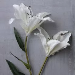 Coupon ???? White Lily Stem by Ashland Classic Traditions™ ???? 7 Coupon ???? White Lily Stem by Ashland Classic Traditions™ ???? -Ashland Sales 10450085 22