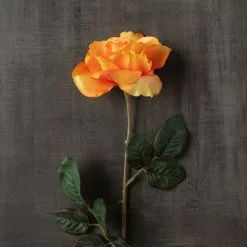 Best Pirce ???? Salmon Rose Stem by Ashland® ???? -Ashland Sales 10450088 25