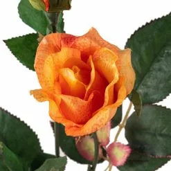 Wholesale ???? Rose Spray by Ashland® ✔️ 8 Wholesale ???? Rose Spray by Ashland® ✔️ -Ashland Sales 10450090 20