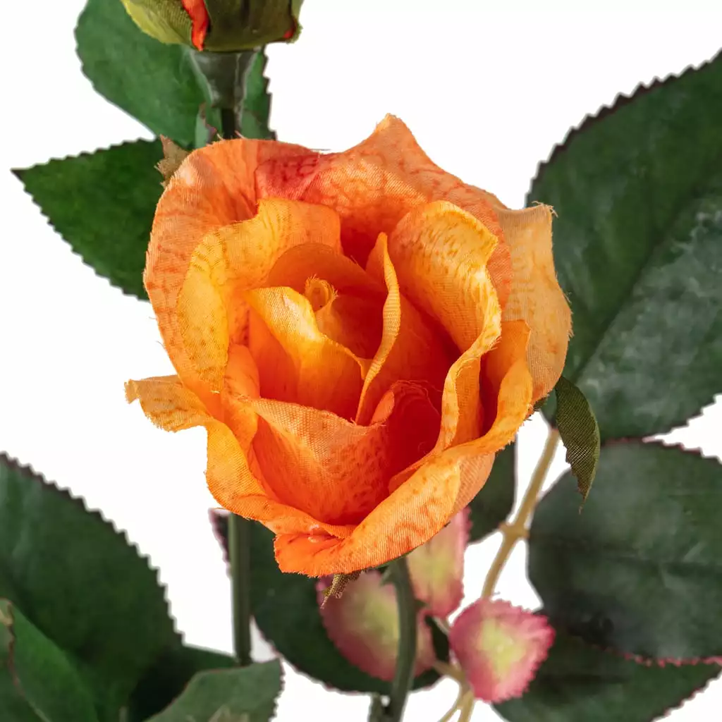 Wholesale ???? Rose Spray by Ashland® ✔️ 5 Wholesale ???? Rose Spray by Ashland® ✔️ - Image 3