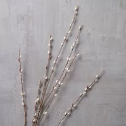 Flash Sale ???? Pussy Willow Stem by Ashland® ???? -Ashland Sales 10450208 22