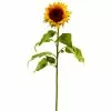 Discount ✨ 6 Pack: Yellow Sunflower Stem by Ashland® ???? -Ashland Sales 10450424