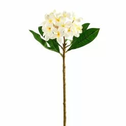 Coupon ❤️ White Frangipani Stem by Ashland® ????