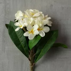 Coupon ❤️ White Frangipani Stem by Ashland® ???? -Ashland Sales 10450428 25