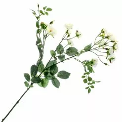 Best deal ???? Cream Kate Rose Stem by Ashland® ???? 9 Best deal ???? Cream Kate Rose Stem by Ashland® ???? -Ashland Sales 10451129 1