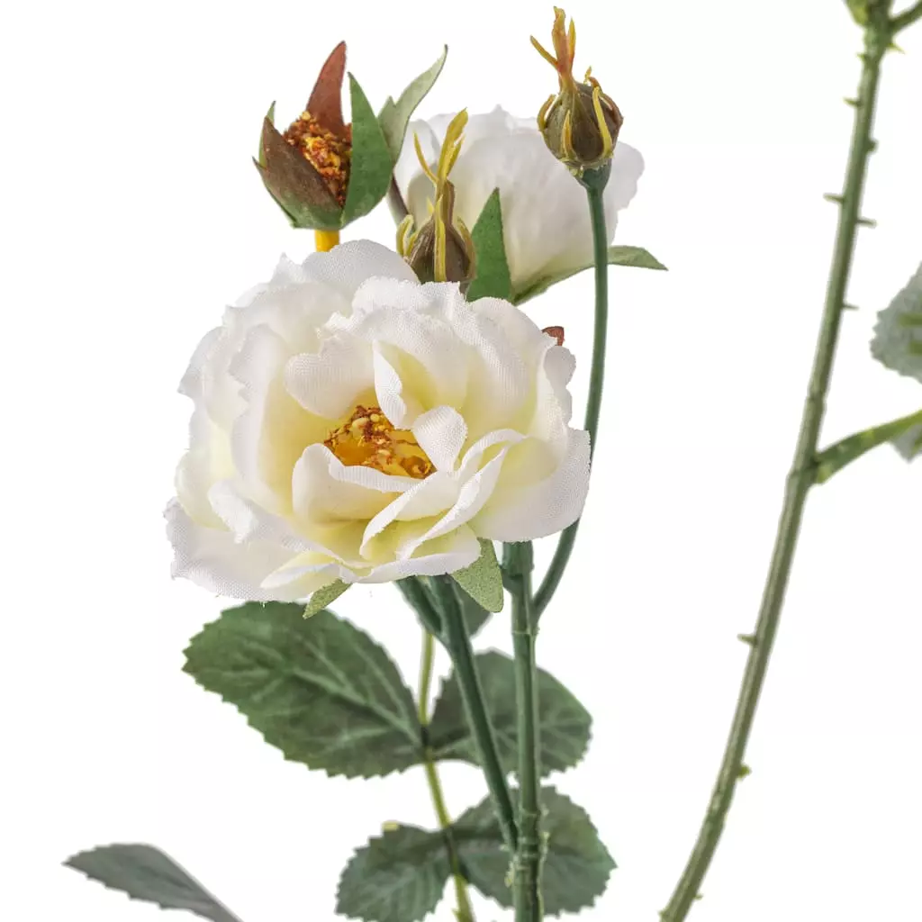 Best deal ???? Cream Kate Rose Stem by Ashland® ???? 5 Best deal ???? Cream Kate Rose Stem by Ashland® ???? - Image 3