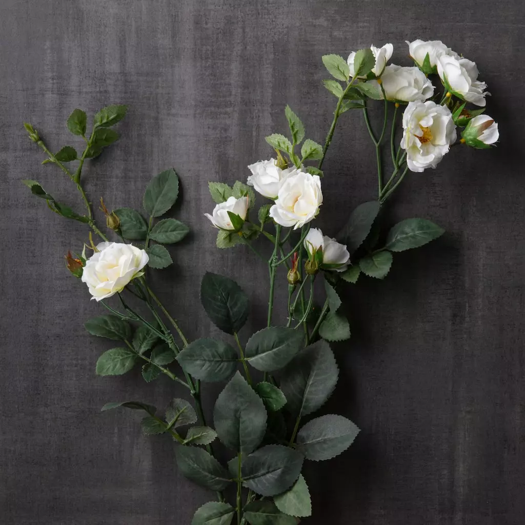 Best deal ???? Cream Kate Rose Stem by Ashland® ???? 4 Best deal ???? Cream Kate Rose Stem by Ashland® ???? - Image 2