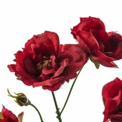 Best deal ???? Kate Rose Spray by Ashland® ⭐ -Ashland Sales 10451131 20