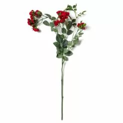 Best deal ???? Kate Rose Spray by Ashland® ⭐ -Ashland Sales 10451131 21