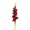 Hot Sale ???? 12 Pack: Burgundy Gladiolus Stem by Ashland® ✨ -Ashland Sales 10451146 1