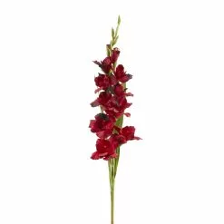 Cheapest ???? Gladiolus Stem by Ashland® ✨ -Ashland Sales 10451146