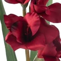 Cheapest ???? Gladiolus Stem by Ashland® ✨ -Ashland Sales 10451146 20