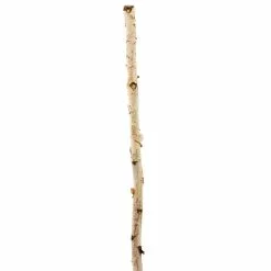 Flash Sale ???? 8 Pack: Natural River Birch Branch by Ashland® ????