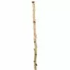 Cheapest ???? Ashland® Natural River Birch ????