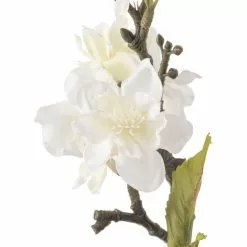 Top 10 ⌛ Cream Blossom Stem by Ashland® ???? -Ashland Sales 10461195 20