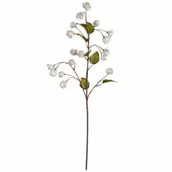 Best reviews of ???? Cream Hops Spray by Ashland® ????