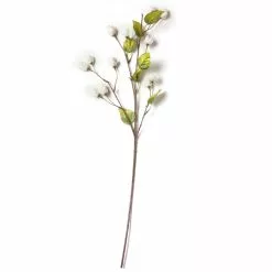 Best reviews of ???? Cream Hops Spray by Ashland® ???? -Ashland Sales 10461196 21