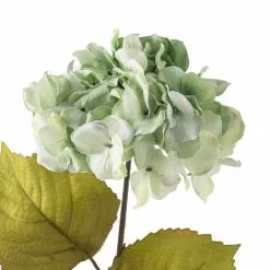 Top 10 ✨ Sea Foam Green Hydrangea Stem By Ashland® ???? -Ashland Sales 10461200 20