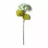 Top 10 ✨ Sea Foam Green Hydrangea Stem By Ashland® ????