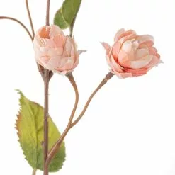 New ❤️ Blush Hops Stem by Ashland® ???? -Ashland Sales 10461606 20