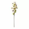 New ❤️ Blush Hops Stem by Ashland® ???? -Ashland Sales 10461606 21