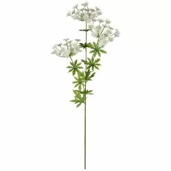 Flash Sale ✨ 12 Pack: White Queen Anne's Lace Spray by Ashland® ✨