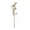 Cheapest ???? White Magnolia Branch Stem by Ashland® ???? 1 Cheapest ???? White Magnolia Branch Stem by Ashland® ???? -Ashland Sales 10468846 21