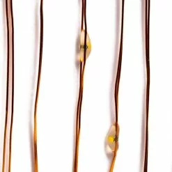 Best Pirce ???? 12 Pack: 40ct. Warm White Copper Wire LED String Lights by Ashland® ???? -Ashland Sales 10473563 3 1