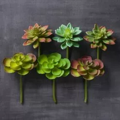 Wholesale ???? Assorted Snap-On Succulent Pick By Ashland® ???? 6 Wholesale ???? Assorted Snap-On Succulent Pick By Ashland® ???? -Ashland Sales 10482105 22