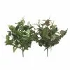 Buy ???? Assorted Mixed Greenery Bush by Ashland® ???? -Ashland Sales 10482176
