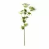Best deal ⭐ Queen Anne's Lace Spray by Ashland® ???? -Ashland Sales 10501462 21