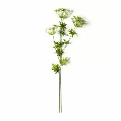 Best deal ⭐ Queen Anne's Lace Spray by Ashland® ????