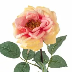 Flash Sale ???? Orlane Rose Stem by Ashland® ???? -Ashland Sales 10501486 20