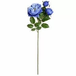 Budget ???? 12 Pack: Blue English Rose Stem by Ashland® ????