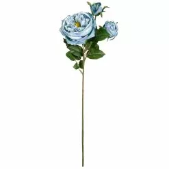 Coupon ???? 12 Pack: Teal English Rose Stem by Ashland® ????
