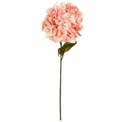 Best Sale ???? Coral Two-Toned Hydrangea Stem by Ashland® ???? -Ashland Sales 10501508