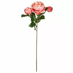 Best Sale ❤️ 12 Pack: Pink Coral English Rose Stem by Ashland® ????