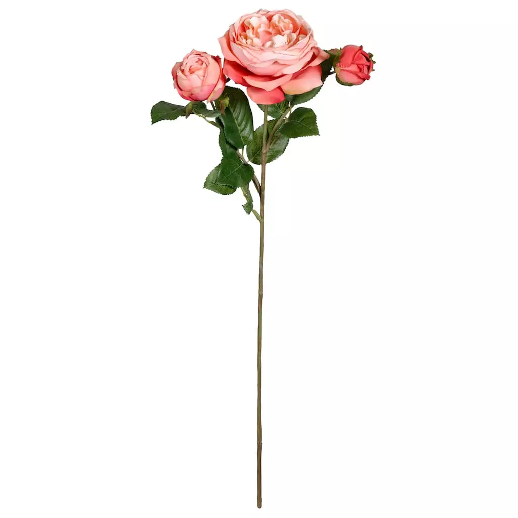 Best Sale ❤️ 12 Pack: Pink Coral English Rose Stem by Ashland® ???? 3 Best Sale ❤️ 12 Pack: Pink Coral English Rose Stem by Ashland® ????